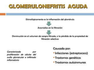 GLOMERULONEFRITIS AGUDAGLOMERULONEFRITIS AGUDA
Etimológicamente es la inflamación del glomérulo
Anomalías en la filtración
Disminución en el volumen de sangre filtrada, o la pérdida de la propiedad de
filtración selectiva
Causada por:
Infecciones (estreptococo)
Trastornos genéticos
Trastornos autoinmunes
Caracterizada por
proliferación de células del
ovillo glomerular e infiltrado
inflamatorio
 