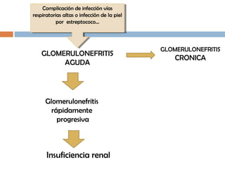 Complicación de infección vías
respiratorias altas o infección de la piel
por estreptococo…
Complicación de infección vías
respiratorias altas o infección de la piel
por estreptococo…
GLOMERULONEFRITIS
AGUDA
GLOMERULONEFRITIS
CRONICA
Glomerulonefritis
rápidamente
progresiva
Insuficiencia renal
 
