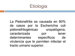 Etiologia
La Pielonefritis es causada en 80%
de casos por la Escherichia coli
pielonefritogénicao uropatógena,
caracterizada por tener
determinantes específicos de
virulencia que le permiten infectar el
tracto urinario superior.
 