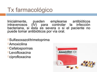 Tx farmacológico
Inicialmente, pueden emplearse antibióticos
intravenosos (IV) para controlar la infección
bacteriana, si ésta es severa o si el paciente no
puede tomar antibióticos por vía oral.
Sulfasoxazol/trimetoprima
Amoxicilina
Cefalosporinas
Levofloxacina
ciprofloxacina
 