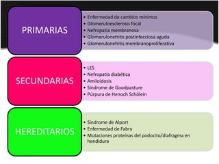 • Enfermedad de cambios mínimos
• Glomeruloesclerosis focal
• Nefropatía membranosa
• Glomerulonefritis postinfecciosa aguda
• Glomerulonefritis membranoproliferativa
PRIMARIAS
• LES
• Nefropatía diabética
• Amiloidosis
• Síndrome de Goodpasture
• Púrpura de Henoch Schölein
SECUNDARIAS
• Síndrome de Alport
• Enfermedad de Fabry
• Mutaciones proteínas del podocito/diafragma en
hendidura
HEREDITARIOS
 