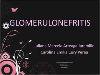 GLOMERULONEFRITIS
Juliana Marcela Arteaga Jaramillo
Carolina Emilia Cury Perea
Universidad de Manizales
IV Medicina
Patología
 