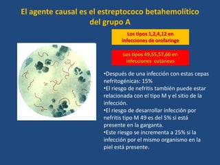 El agente causal es el estreptococo betahemolítico
                    del grupo A
                                 Los tipos 1,2,4,12 en
                              infecciones de orofaringe

                              Los tipos 49,55,57,60 en
                               infecciones cutáneas

                       •Después de una infección con estas cepas
                       nefritogénicas: 15%
                       •El riesgo de nefritis también puede estar
                       relacionada con el tipo M y el sitio de la
                       infección.
                       •El riesgo de desarrollar infección por
                       nefritis tipo M 49 es del 5% si está
                       presente en la garganta.
                       •Este riesgo se incrementa a 25% si la
                       infección por el mismo organismo en la
                       piel está presente.
 