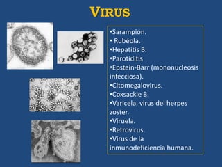 VIRUS
  •Sarampión.
  • Rubéola.
  •Hepatitis B.
  •Parotiditis
  •Epstein-Barr (mononucleosis
  infecciosa).
  •Citomegalovirus.
  •Coxsackie B.
  •Varicela, virus del herpes
  zoster.
  •Viruela.
  •Retrovirus.
  •Virus de la
  inmunodeficiencia humana.
 