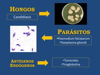 HONGOS
 Candidiasis



               PARÁSITOS
               •Plasmodium falciparum
                 •Toxoplasma ghondi




ANTÍGENOS          •Tumorales
ENDÓGENOS         •Tiroglobulina
 