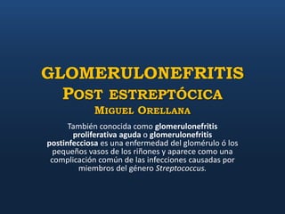 GLOMERULONEFRITIS
  POST ESTREPTÓCICA
            MIGUEL ORELLANA
      También conocida como glomerulonefritis
       proliferativa aguda o glomerulonefritis
postinfecciosa es una enfermedad del glomérulo ó los
  pequeños vasos de los riñones y aparece como una
 complicación común de las infecciones causadas por
         miembros del género Streptococcus.
 