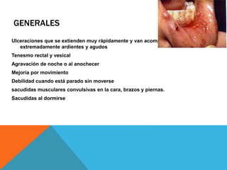 Ulceraciones que se extienden muy rápidamente y van acompañadas de dolores
extremadamente ardientes y agudos
Tenesmo rectal y vesical
Agravación de noche o al anochecer
Mejoría por movimiento
Debilidad cuando está parado sin moverse
sacudidas musculares convulsivas en la cara, brazos y piernas.
Sacudidas al dormirse
GENERALES
 