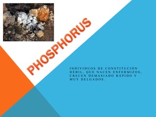 I N D I V I D U O S D E C O N S T I T U C I Ó N
D É B I L , Q U E N A C E N E N F E R M I Z O S ,
C R E C E N D E M A S I A D O R Á P I D O Y
M U Y D E L G A D O S .
 