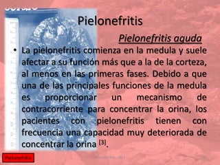 Pielonefritis
                                       Pielonefritis aguda
    • La pielonefritis comienza en la medula y suele
      afectar a su función más que a la de la corteza,
      al menos en las primeras fases. Debido a que
      una de las principales funciones de la medula
      es proporcionar un           mecanismo de
      contracorriente para concentrar la orina, los
      pacientes con pielonefritis tienen con
      frecuencia una capacidad muy deteriorada de
      concentrar la orina [3].
Pielonefritis            eduardo5456 - 2013                  33
 