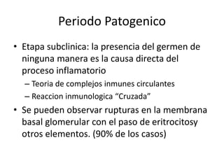 Periodo Patogenico 
• Etapa subclinica: la presencia del germen de 
ninguna manera es la causa directa del 
proceso inflamatorio 
– Teoria de complejos inmunes circulantes 
– Reaccion inmunologica “Cruzada” 
• Se pueden observar rupturas en la membrana 
basal glomerular con el paso de eritrocitosy 
otros elementos. (90% de los casos) 
 