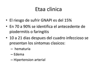 Etaa clinica 
• El riesgo de sufrir GNAPI es del 15% 
• En 70 a 90% se identifica el antecedente de 
piodermitis o faringitis 
• 10 a 21 dias despues del cuadro infeccioso se 
presentan los sintomas clasicos: 
– hematuria 
– Edema 
– Hipertension arterial 
 