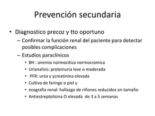 Prevención secundaria 
• Diagnostico precoz y tto oportuno 
– Confirmar la función renal del paciente para detectar 
posibles complicaciones 
– Estudios paraclínicos 
• BH : anemia normocitica normocromica 
• Urianalisis: proteinuria leve o moderada 
• PFR: urea y ycreatinina elevada 
• Cultivo de faringe o piel y 
• ecografia renal: hallazgo de riñones reducidos en tamaño 
• Antiestreptolisina O elevada de 3 a 5 semanas 
 