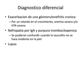 Diagnostico diferencial 
• Exacerbacion de una glomerulonefritis cronica 
– Por un retardo en el crecimiento, anemia severa y/o 
HTA severa 
• Nefropatia por IgA y purpura trombocitopenica 
– Se pudieran confundir cuando la vasculitis no se 
hace evidente en la piel 
• Lupus 
 