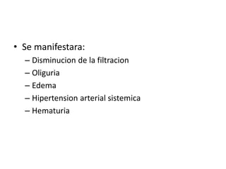 • Se manifestara: 
– Disminucion de la filtracion 
– Oliguria 
– Edema 
– Hipertension arterial sistemica 
– Hematuria 
 