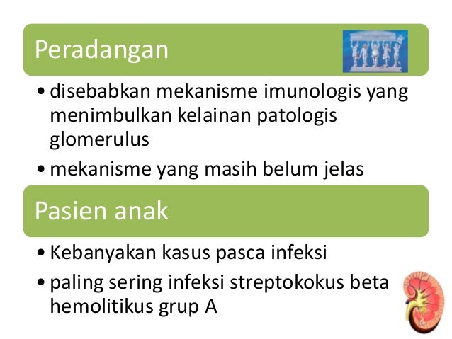 Glomerulonefritis akut pasca streptokokus pdf converter