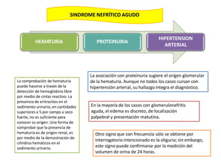 La asociación con proteinuria sugiere el origen glomerular
de la hematuria. Aunque no todos los casos cursan con
hipertensión arterial, su hallazgo integra el diagnóstico.
HEMATURIA PROTEINURIA
HIPERTENSION
ARTERIAL
La comprobación de hematuria
puede hacerse a través de la
detección de hemoglobina libre
por medio de cintas reactivo. La
presencia de eritrocitos en el
sedimento urinario, en cantidades
superiores a 5 por campo a seco
fuerte, no es suficiente para
conocer su origen. Una forma de
comprobar que la presencia de
hematuria es de origen renal, es
por medio de la demostración de
cilindros hemáticos en el
sedimento urinario.
SINDROME NEFRÍTICO AGUDO
En la mayoría de los casos con glomerulonefritis
aguda, el edema es discreto, de localización
palpebral y presentación matutina.
Otro signo que con frecuencia sólo se obtiene por
interrogatorio intencionado es la oliguria; sin embargo,
este signo puede confirmarse por la medición del
volumen de orina de 24 horas.
 