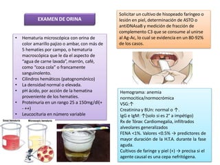 • Hematuria microscópica con orina de
color amarillo pajizo o ambar, con más de
5 hematíes por campo, o hematuria
macroscópica que le da el aspecto de
“agua de carne lavada”, marrón, café,
como “coca cola” o francamente
sanguinolento.
• Cilindros hemáticos (patognomónico)
• La densidad normal o elevada.
• pH ácido, por acción de la hematina
proveniente de los hematíes.
• Proteinuria en un rango 25 a 150mg/dl(+
- ++)
• Leucocituria en número variable
EXAMEN DE ORINA
Solicitar un cultivo de hisopeado faríngeo o
lesión en piel, determinación de ASTO o
antiDNAsaB y medición de fracción de
complemento C3 que se consume al unirse
al Ag-Ac, lo cual se evidencia en un 80-92%
de los casos.
Hemograma: anemia
normocitica/normocrómica
VSG:↑
Creatinina y BUn: normal o ↑.
IgG e IgM: ↑(solo si es 2° a impétigo)
Rx de Tórax: Cardiomegalia, infiltrados
alveolares generalizados
FENA <1%. Valores <0.5% → predictores de
mayor duración de la H.T.A. durante la fase
aguda.
Cultivos de faringe y piel (+) → precisa si el
agente causal es una cepa nefritógena.
 
