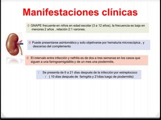 Manifestaciones clínicas
0 GNAPE frecuente en niños en edad escolar (3 a 12 años), la frecuencia es baja en
menores 2 años , relación 2:1 varones.
0 Puede presentarse asintomático y solo objetivarse por hematuria microscópica , y
descenso del complemento
0 El intervalo entre infección y nefritis es de dos a tres semanas en los casos que
siguen a una faringoamigdalitis y de un mes una piodermitis.
 Se presenta de 6 a 21 días después de la infección por estreptococo
 ( 10 días después de faringitis y 21dias luego de piodermitis)
 