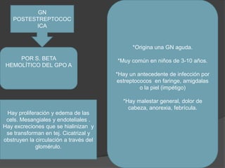 *Origina una GN aguda.*Muy común en niños de 3-10 años.*Hay un antecedente de infección por estreptococos  en faringe, amigdalas o la piel (impétigo)*Hay malestar general, dolor de cabeza, anorexia, febrícula.GN POSTESTREPTOCOCICAPOR S. BETA HEMOLÍTICO DEL GPO AHay proliferación y edema de las cels. Mesangiales y endoteliales .Hay excreciones que se hialinizan  y se transforman en tej. Cicatrizal y obstruyen la circulación a través del glomérulo.