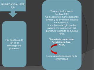 GN MESANGIAL POR IgA*Forma más frecuente.*No hay dolor*La escasez de manifestaciones clínicas y su evolución lenta es característica.*La enfermedad glomerular avanza con destrucción del glomérulo y pérdida de función renal.*hematuria recurrente.*proteinuria leve.*HTAÚnicas manifestaciones de la enfermedadPor depósitos de IgA en el mesangio del glomérulo