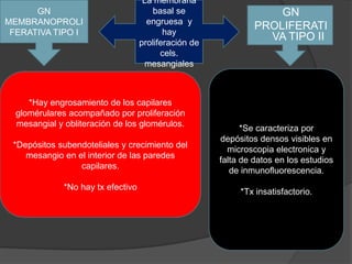 GN MEMBRANOPROLIFERATIVA TIPO ILa membrana basal se engruesa  y hay proliferación de cels. mesangialesGNPROLIFERATIVA TIPO II*Se caracteriza por depósitos densos visibles en microscopia electronica y falta de datos en los estudios de inmunofluorescencia.*Tx insatisfactorio.*Hay engrosamiento de los capilares glomérulares acompañado por proliferación mesangial y obliteración de los glomérulos.*Depósitos subendoteliales y crecimiento del mesangio en el interior de las paredes capilares.*No hay tx efectivo