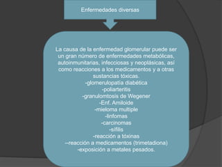 Enfermedades diversasLa causa de la enfermedad glomerular puede ser un gran número de enfermedades metabólicas, autoinmunitarias, infecciosas y neoplásicas, así como reacciones a los medicamentos y a otras sustancias tóxicas.-glomerulopatía diabética-poliarteritis-granulomtosis de Wegener-Enf. Amiloide-mieloma multiple-linfomas-carcinomas-sífilis-reacción a tóxinas--reacción a medicamentos (trimetadiona)-exposición a metales pesados.