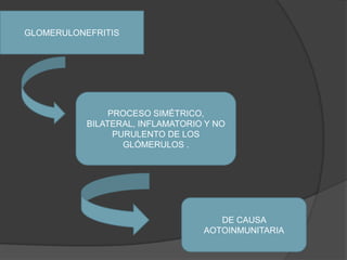 GLOMERULONEFRITISPROCESO SIMÉTRICO, BILATERAL, INFLAMATORIO Y NO PURULENTO DE LOS GLÓMERULOS .DE CAUSA AOTOINMUNITARIA