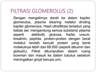 glomerulonefritis_k6_ppt.ppt