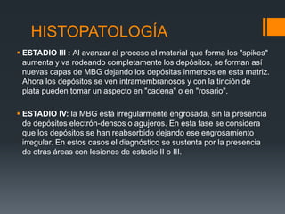 HISTOPATOLOGÍA 
 ESTADIO III : Al avanzar el proceso el material que forma los "spikes" 
aumenta y va rodeando completamente los depósitos, se forman así 
nuevas capas de MBG dejando los depósitas inmersos en esta matriz. 
Ahora los depósitos se ven intramembranosos y con la tinción de 
plata pueden tomar un aspecto en "cadena" o en "rosario". 
 ESTADIO IV: la MBG está irregularmente engrosada, sin la presencia 
de depósitos electrón-densos o agujeros. En esta fase se considera 
que los depósitos se han reabsorbido dejando ese engrosamiento 
irregular. En estos casos el diagnóstico se sustenta por la presencia 
de otras áreas con lesiones de estadio II o III. 
 