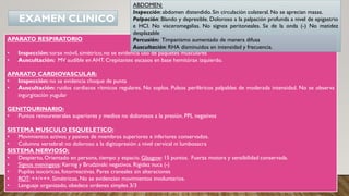 APARATO RESPIRATORIO
• Inspección: torax móvil, simétrico, no se evidencia uso de paquetes musculares
• Auscultación: MV audible en AHT. Crepitantes escasos en base hemitórax izquierdo.
APARATO CARDIOVASCULAR:
• Inspección: no se evidencia choque de punta
• Auscultación: ruidos cardiacos rítmicos regulares. No soplos. Pulsos periféricos palpables de moderada intensidad. No se observa
ingurgitación yugular
GENITOURINARIO:
• Puntos renoureterales superiores y medios no dolorosos a la presión. PPL negativos
SISTEMA MUSCULO ESQUELETICO:
• Movimientos activos y pasivos de miembros superiores e inferiores conservados.
• Columna vertebral: no doloroso a la digitopresión a nivel cervical ni lumbosacra
SISTEMA NERVIOSO:
• Despierto, Orientado en persona, tiempo y espacio. Glasgow: 15 puntos. Fuerza motora y sensibilidad conservada.
• Signos meníngeos: Kernig y Brudzinski negativos. Rigidez nuca (-)
• Pupilas isocóricas, fotorreactivas. Pares craneales sin alteraciones
• ROT: ++/+++. Simétricos. No se evidencian movimientos involuntarios.
• Lenguaje organizado, obedece ordenes simples 3/3
EXAMEN CLINICO
ABDOMEN:
Inspección: abdomen distendido. Sin circulación colateral. No se aprecian masas.
Palpación: Blando y depresible. Doloroso a la palpación profunda a nivel de epigastrio
e HCI. No visceromegalias. No signos peritoneales. Sx de la onda (-) No matidez
desplazable
Percusión: Timpanismo aumentado de manera difusa
Auscultación: RHA disminuidos en intensidad y frecuencia.
 