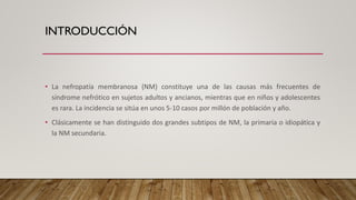 INTRODUCCIÓN
• La nefropatía membranosa (NM) constituye una de las causas más frecuentes de
síndrome nefrótico en sujetos adultos y ancianos, mientras que en niños y adolescentes
es rara. La incidencia se sitúa en unos 5-10 casos por millón de población y año.
• Clásicamente se han distinguido dos grandes subtipos de NM, la primaria o idiopática y
la NM secundaria.
 