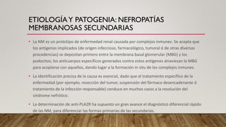 ETIOLOGÍAY PATOGENIA: NEFROPATÍAS
MEMBRANOSAS SECUNDARIAS
• La NM es un prototipo de enfermedad renal causada por complejos inmunes. Se acepta que
los antígenos implicados (de origen infeccioso, farmacológico, tumoral ó de otras diversas
procedencias) se depositan primero entre la membrana basal glomerular (MBG) y los
podocitos; los anticuerpos específicos generados contra estos antígenos atraviesan la MBG
para acoplarse con aquellos, dando lugar a la formación in situ de los complejos inmunes.
• La identificación precisa de la causa es esencial, dado que el tratamiento específico de la
enfermedad (por ejemplo, resección del tumor, suspensión del fármaco desencadenante ó
tratamiento de la infección responsable) conduce en muchos casos a la resolución del
síndrome nefrótico.
• La determinación de anti-PLA2R ha supuesto un gran avance el diagnóstico diferencial rápido
de las NM, para diferenciar las formas primarias de las secundarias.
 
