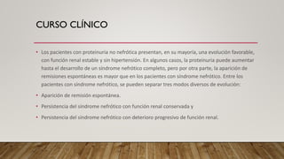 CURSO CLÍNICO
• Los pacientes con proteinuria no nefrótica presentan, en su mayoría, una evolución favorable,
con función renal estable y sin hipertensión. En algunos casos, la proteinuria puede aumentar
hasta el desarrollo de un síndrome nefrótico completo, pero por otra parte, la aparición de
remisiones espontáneas es mayor que en los pacientes con síndrome nefrótico. Entre los
pacientes con síndrome nefrótico, se pueden separar tres modos diversos de evolución:
• Aparición de remisión espontánea.
• Persistencia del síndrome nefrótico con función renal conservada y
• Persistencia del síndrome nefrótico con deterioro progresivo de función renal.
 