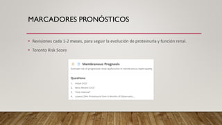 MARCADORES PRONÓSTICOS
• Revisiones cada 1-2 meses, para seguir la evolución de proteinuria y función renal.
• Toronto Risk Score
 