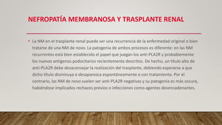 NEFROPATÍA MEMBRANOSA Y TRASPLANTE RENAL
• La NM en el trasplante renal puede ser una recurrencia de la enfermedad original o bien
tratarse de una NM de novo. La patogenia de ambos procesos es diferente: en las NM
recurrentes está bien establecido el papel que juegan los anti-PLA2R y probablemente
los nuevos antígenos podocitarios recientemente descritos. De hecho, un título alto de
anti-PLA2R debe desaconsejar la realización del trasplante, debiendo esperarse a que
dicho título disminuya o desaparezca espontáneamente o con tratamiento. Por el
contrario, las NM de novo suelen ser anti-PLA2R negativas y su patogenia es más oscura,
habiéndose implicados rechazos previos o infecciones como agentes desencadenantes.
 