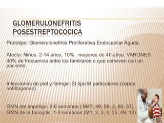 Prototipo: Glomerulonefritis Proliferativa Endocapilar Aguda.
Afecta: Niños 2-14 años, 10% mayores de 40 años. VARONES
40% de frecuencia entre los familiares o que conviven con un
paciente.
Infecciones de piel y faringe: St tipo M particulares (cepas
nefritogenas)
GMN del impetigo: 2-6 semanas ( M47, 49, 55, 2, 60, 57)
GMN de la faringitis: 1-3 semanas (M1, 2, 3, 4, 25, 49, 12)
GLOMERULONEFRITIS
POSESTREPTOCOCICA
 