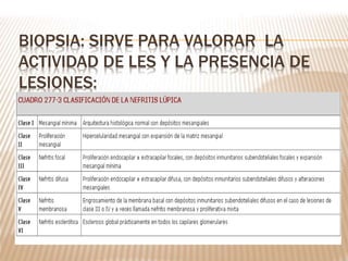 BIOPSIA: SIRVE PARA VALORAR LA
ACTIVIDAD DE LES Y LA PRESENCIA DE
LESIONES:
 