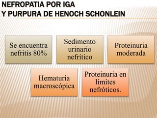 NEFROPATIA POR IGA
Y PURPURA DE HENOCH SCHONLEIN
Se encuentra
nefritis 80%
Sedimento
urinario
nefrítico
Proteinuria
moderada
Hematuria
macroscópica
Proteinuria en
límites
nefróticos.
 