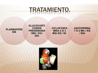 TRATAMIENTO.
PLASMAFERE
SIS
GLUCOCORTI
COIDES
PREDNISONA
1MG / KG /
DIA
CICLOFOSFA
MIDA 2 O 3
MG/ KG / DI.
AZATIOPRINA
1 O 2 MG / KG
/ DIA
 