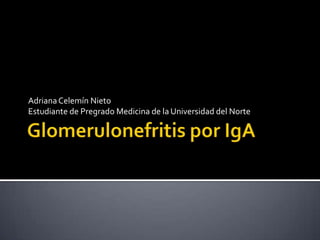 Glomerulonefritis por IgA Adriana Celemín Nieto Estudiante de Pregrado Medicina de la Universidad del Norte 