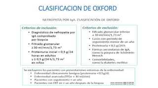 Glomerulonefritis Por Ig A PPTX glomerulonefritis-por-ig-a-pptx
