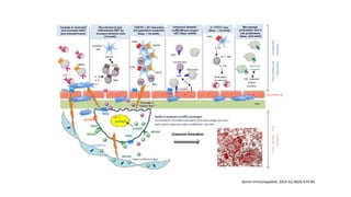 Semin Immunopathol. 2014 Jul;36(4):479-90
 