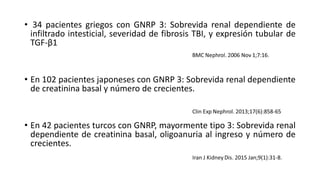 • 34 pacientes griegos con GNRP 3: Sobrevida renal dependiente de
infiltrado intesticial, severidad de fibrosis TBI, y expresión tubular de
TGF-β1
• En 102 pacientes japoneses con GNRP 3: Sobrevida renal dependiente
de creatinina basal y número de crecientes.
• En 42 pacientes turcos con GNRP, mayormente tipo 3: Sobrevida renal
dependiente de creatinina basal, oligoanuria al ingreso y número de
crecientes.
 