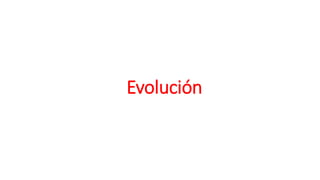Evolución
 