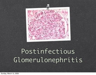 Glomerulonephritis