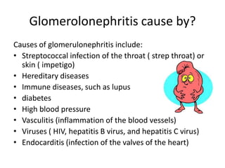 Glomerolonephritis cause by?
Causes of glomerulonephritis include:
• Streptococcal infection of the throat ( strep throat) or
  skin ( impetigo)
• Hereditary diseases
• Immune diseases, such as lupus
• diabetes
• High blood pressure
• Vasculitis (inflammation of the blood vessels)
• Viruses ( HIV, hepatitis B virus, and hepatitis C virus)
• Endocarditis (infection of the valves of the heart)
 