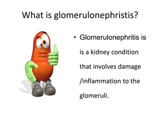 What is glomerulonephristis?

            • Glomerulonephritis is

             is a kidney condition

             that involves damage

             /inflammation to the

             glomeruli.
 