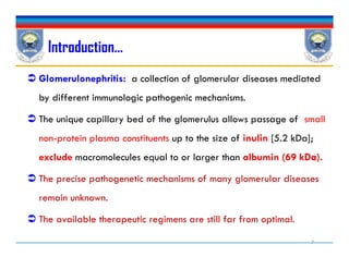 Introduction…
 Glomerulonephritis: a collection of glomerular diseases mediated
by different immunologic pathogenic mechanisms.
 The unique capillary bed of the glomerulus allows passage of small
non-protein plasma constituents up to the size of inulin [5.2 kDa];
exclude macromolecules equal to or larger than albumin (69 kDa).
 The precise pathogenetic mechanisms of many glomerular diseases
remain unknown.
 The available therapeutic regimens are still far from optimal.
 Glomerulonephritis: a collection of glomerular diseases mediated
by different immunologic pathogenic mechanisms.
 The unique capillary bed of the glomerulus allows passage of small
non-protein plasma constituents up to the size of inulin [5.2 kDa];
exclude macromolecules equal to or larger than albumin (69 kDa).
 The precise pathogenetic mechanisms of many glomerular diseases
remain unknown.
 The available therapeutic regimens are still far from optimal.
7
 