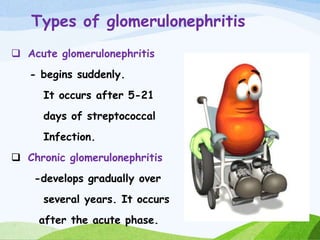 Types of glomerulonephritis
 Acute glomerulonephritis
- begins suddenly.
It occurs after 5-21
days of streptococcal
Infection.
 Chronic glomerulonephritis
-develops gradually over
several years. It occurs
after the acute phase.
 