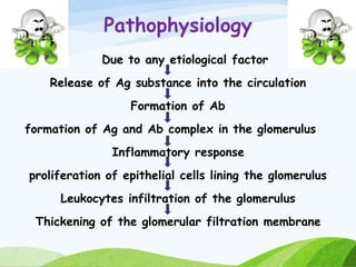 Pathophysiology
Due to any etiological factor
Release of Ag substance into the circulation
Formation of Ab
formation of Ag and Ab complex in the glomerulus
Inflammatory response
proliferation of epithelial cells lining the glomerulus
Leukocytes infiltration of the glomerulus
Thickening of the glomerular filtration membrane
 